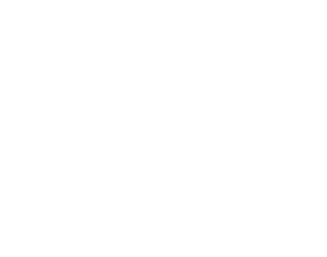 Pega Logo